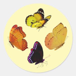 Stickers quatre papillons