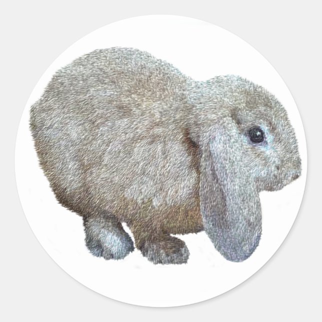 Stickers Rabbit oreille Holland Lop (Devant)