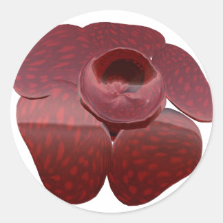 Stickers Rafflesia