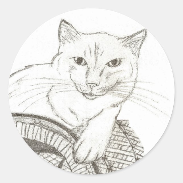 Stickers Ragdoll Portrait Cat - Set de 20 (Devant)
