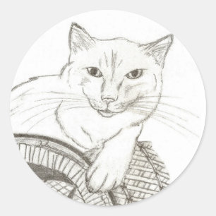 Stickers Ragdoll Portrait Cat - Set de 20