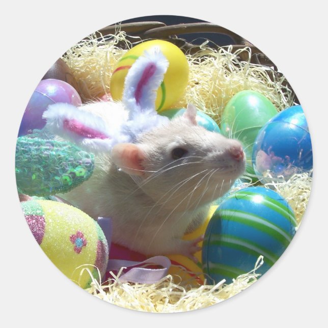 Stickers Rat de Pâques (Devant)