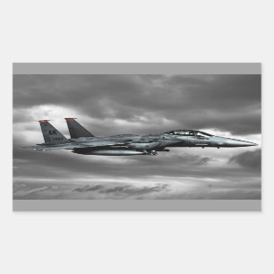 Stickers Rectangle d'aigle F-15E