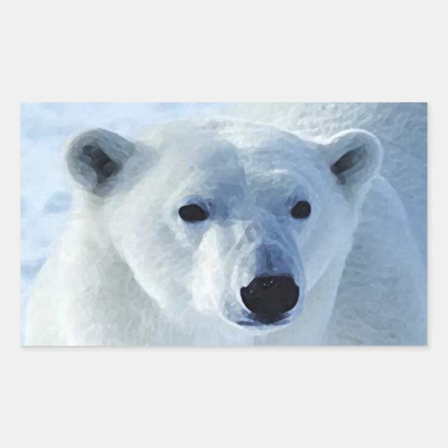 Stickers Rectangle d'ours polaire (Devant)