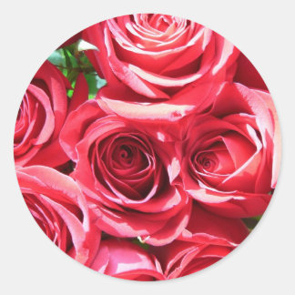 stickers Red Roses Bunkers