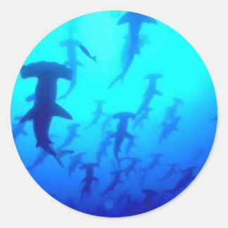 Stickers Requin
