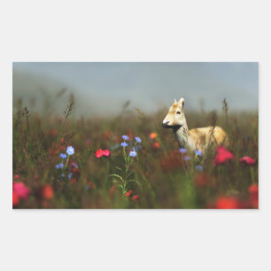 Stickers Roe in a Meadow
