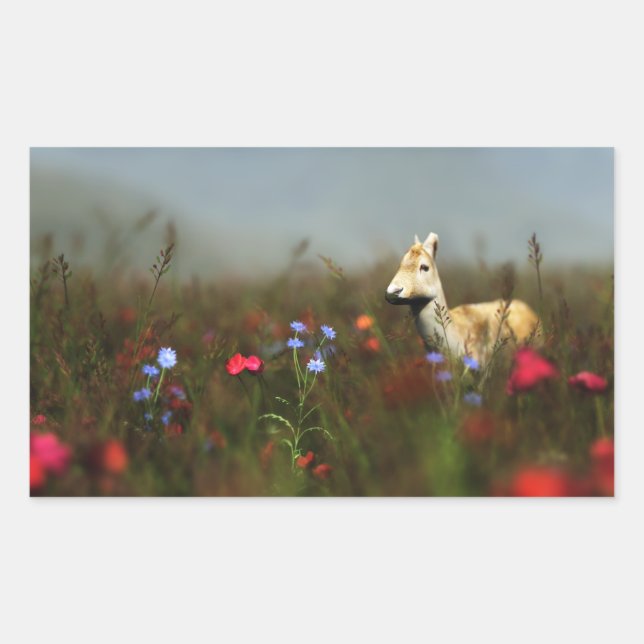 Stickers Roe in a Meadow (Devant)