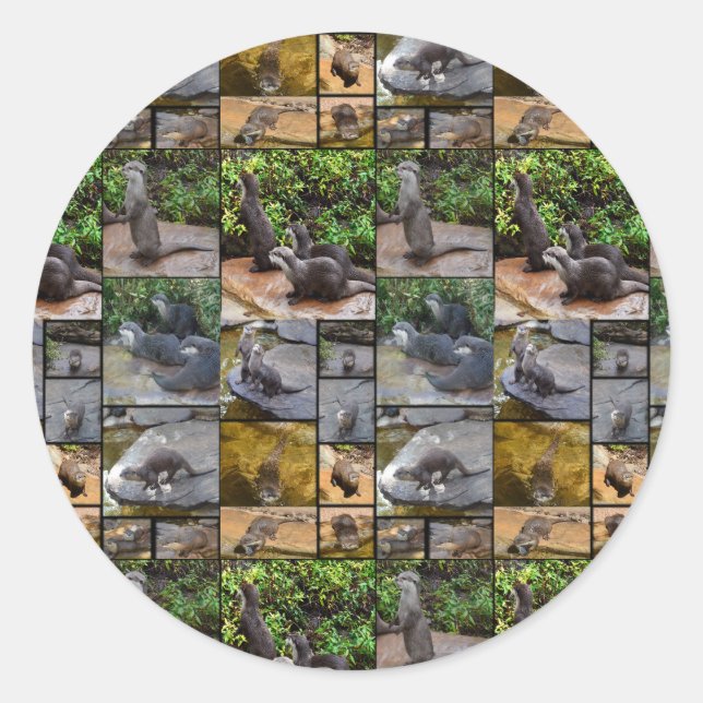 Stickers Rond Collage Photo Otter. (Devant)