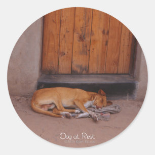 Stickers Rond Dog au repos
