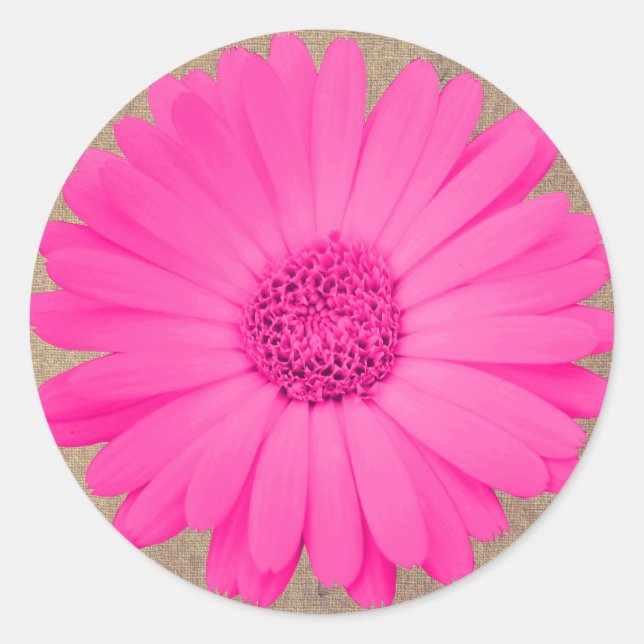 Stickers Rond Rustique Rose Gerber Daisy (Devant)