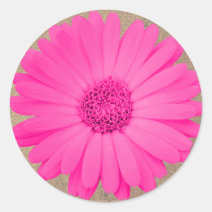 Stickers Rond Rustique Rose Gerber Daisy
