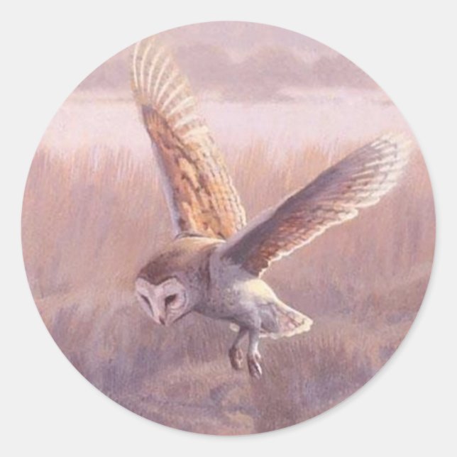Stickers ronds de Barn Owl (Devant)