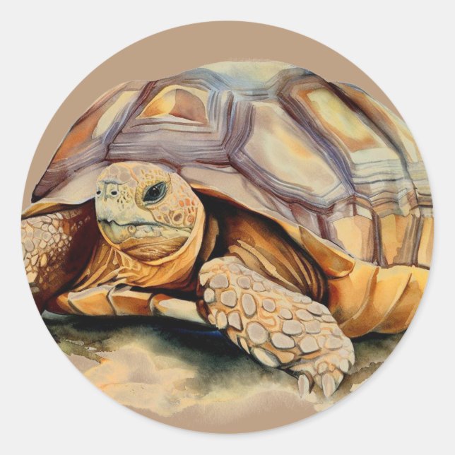 Stickers ronds de tortue du désert (Devant)