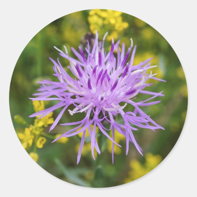 Stickers ronds Fleurs sauvages violets tachetés (Devant)