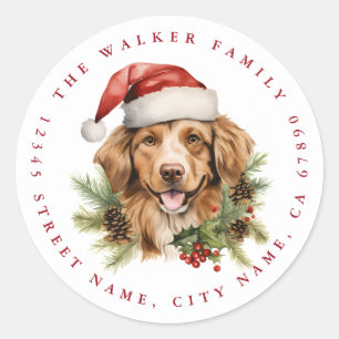 Stickers ronds Golden Retriever