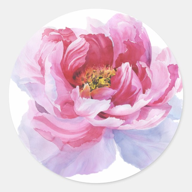 Stickers ronds Peony rose (Devant)