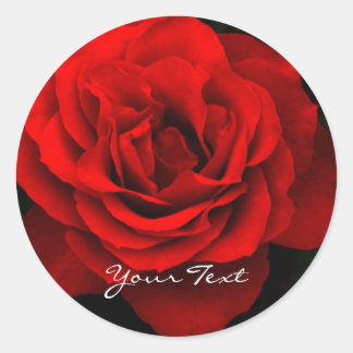 Stickers ronds Red Rose Fire (feuille de 20)