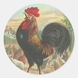 Stickers Rooster vintages