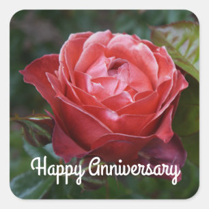 Stickers Rose de cacao chaud #2-1 pour un bon anni