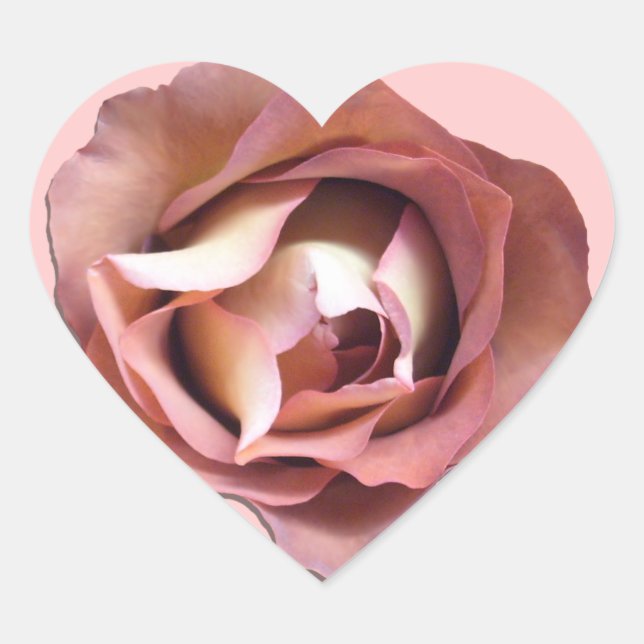 Stickers - Rose Dusky (Devant)