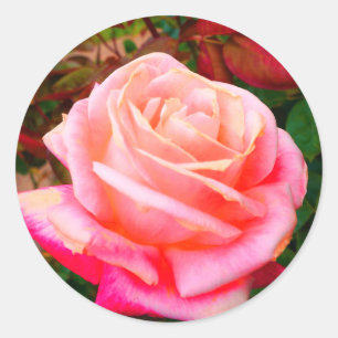 Stickers Rose Gemini #2