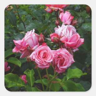 Stickers Rose Gene Boerner #1