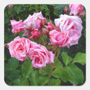 Stickers Rose Gene Boerner #3