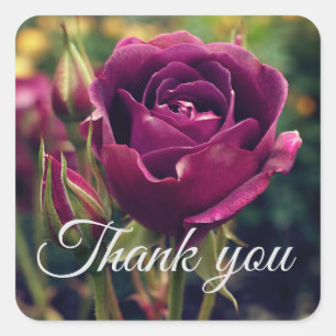 Stickers Rose Iceberg Merci Bourgogne #1