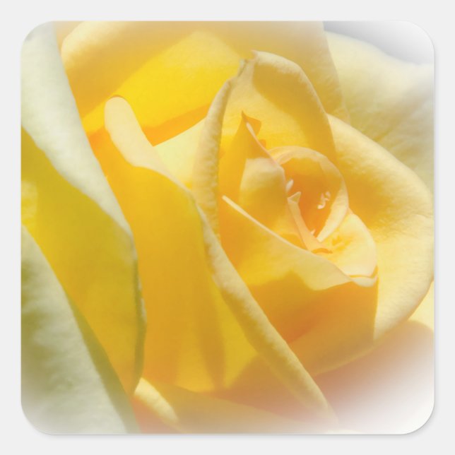 Stickers Rose jaune (Devant)
