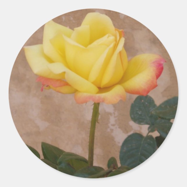 Stickers Rose jaune (Devant)