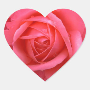 Stickers Rose Rose Rose Rose Rose Roses cadeaux Ke