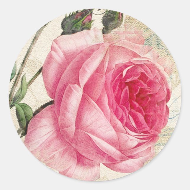 Stickers Rose rose Vintage (Devant)