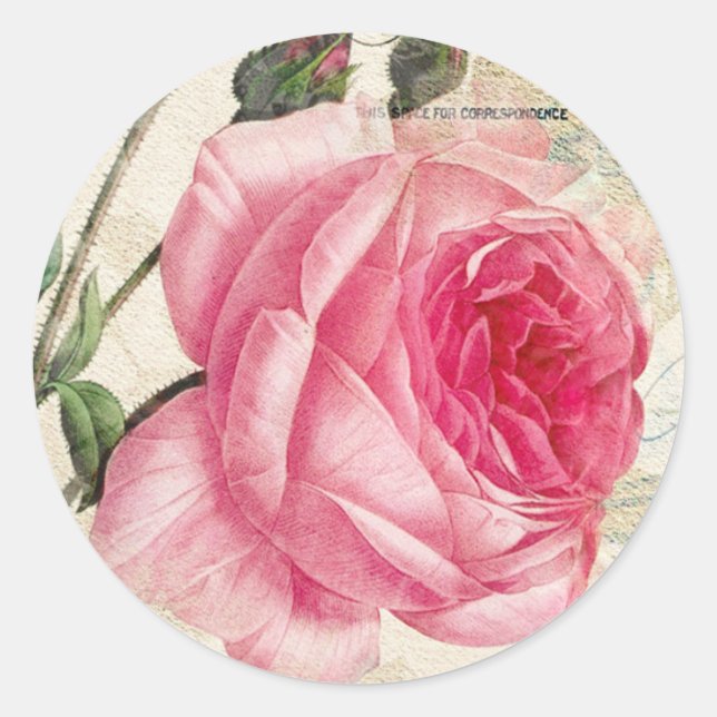 Stickers Rose rose Vintage (Devant)