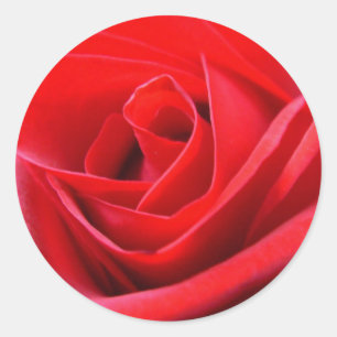 Stickers Rose rouge rose Rose Rouge cadeaux Keepsa