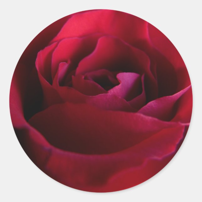 Stickers Rose rouge rose Rose Rouge cadeaux Keepsa (Devant)