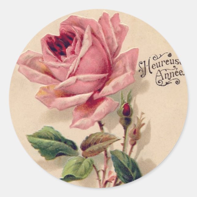 Stickers Rose vintage (Devant)
