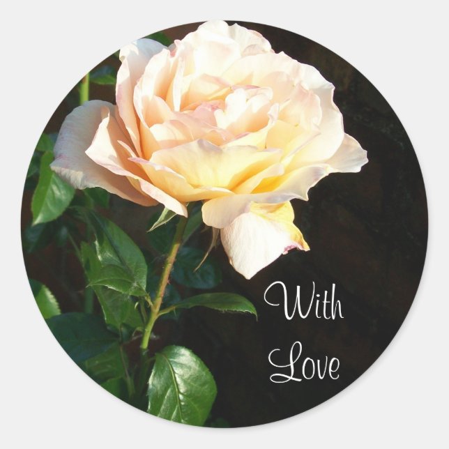 Stickers Roses "Dreaming Spires" (Devant)