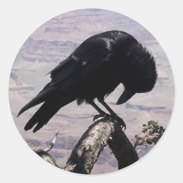 Stickers Sad Raven 01 (Devant)