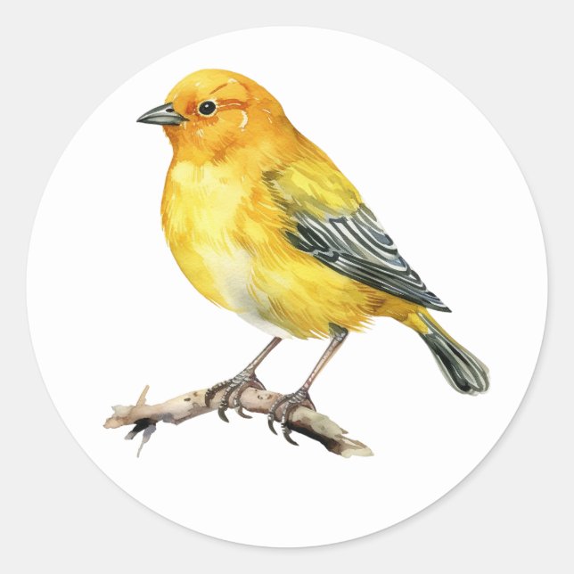 Stickers Saffron Finch Oiseau (Devant)