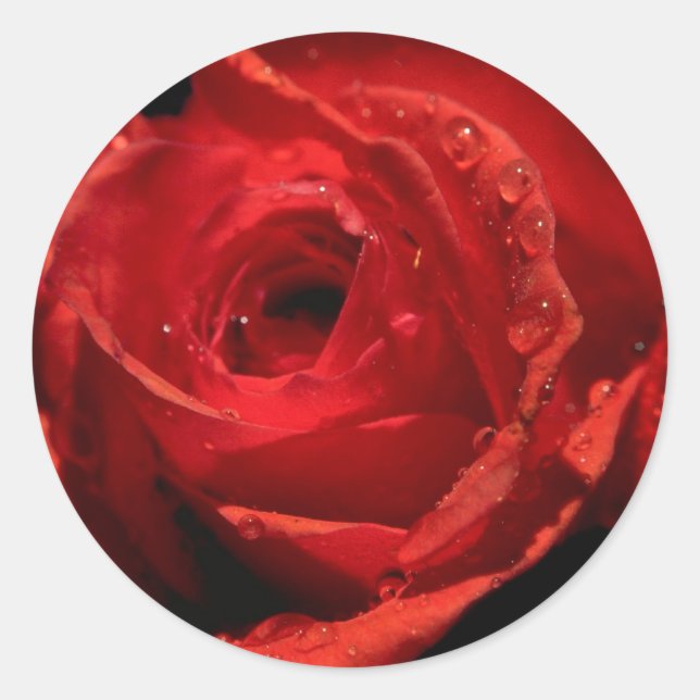 Stickers Saint Valentin (Devant)