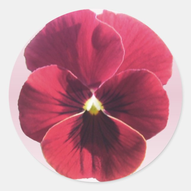 Stickers - Sansy rouge foncé (Devant)