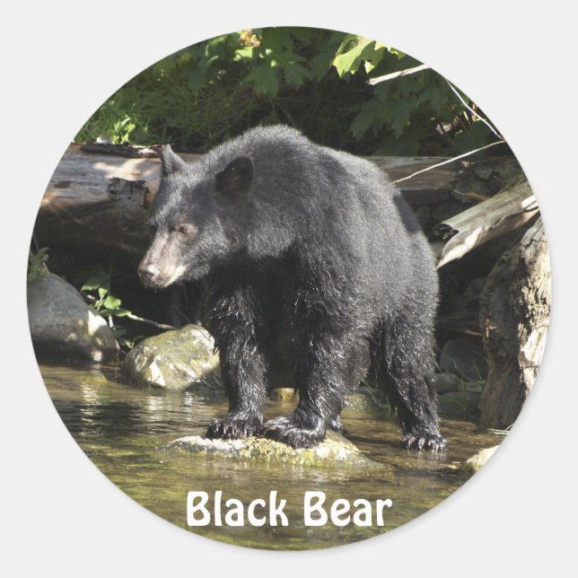 Stickers "Saumon Spots" Ours Noir Faune (Devant)