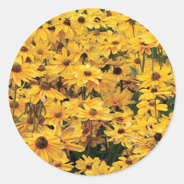 Stickers Sceau d'enveloppe de marguerites jaunes (Devant)