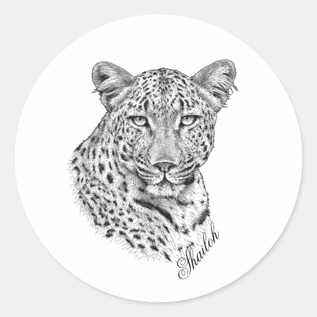 Stickers - Shailoh (Devant)