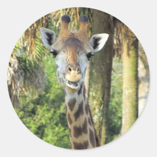 Stickers Silencieux en Giraffe