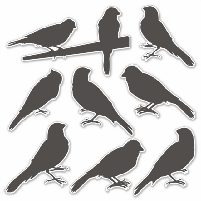 Stickers Silhouette d'oiseaux canariens (Devant)