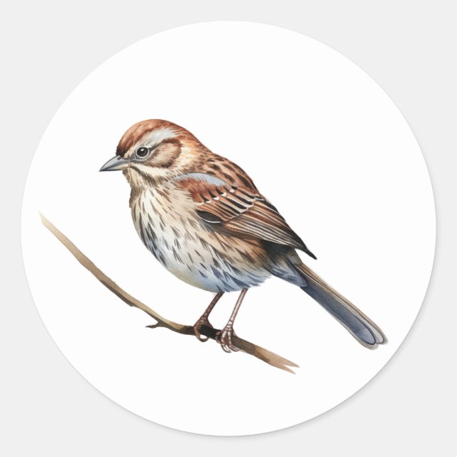 Stickers Song Sparrow Bird (Devant)