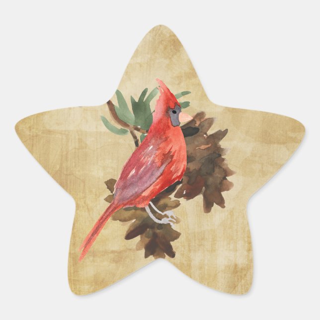 Stickers Star Star de Vacances Cardinal Rouge (Devant)