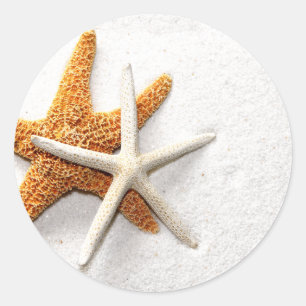 Stickers Starfish